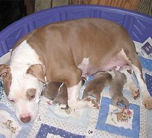 Rose And Her New Babies by Ginny York