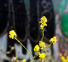 urban revitalization by jproductions