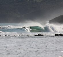 Secret Surf Perfection, South Australia by Samuel Squires