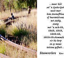 Stoomverlore by Rina Greeff