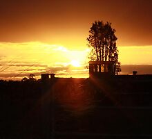 Sunset on Kurths road by chloemay