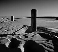 Fenceline to Oblivion by bazcelt