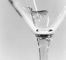 Ephemeral Pleasures by Johanne Brunet