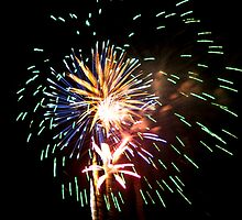 4th of July Fireworks by Buckwhite
