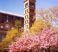 Judson Memorial Church, Greenwich Village, New York City by artwhiz47