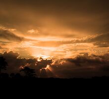 Heaven Sent by kathy s gillentine