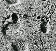 FOOTPRINTS by alegon53