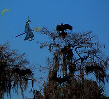 Witch and the Vultures by Rosalie Scanlon