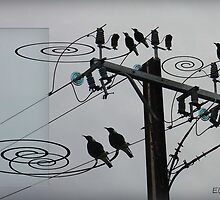Wired for Sound by Ellanita