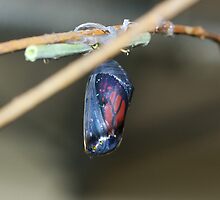 Waiting to be Born by JaanaWilson