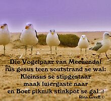 Die Vogelpaar van Meeuendal - limerick by Rina Greeff