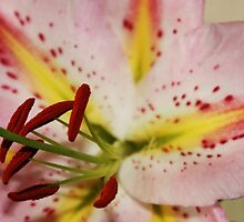 Smells as good at it looks! by MichelleRees