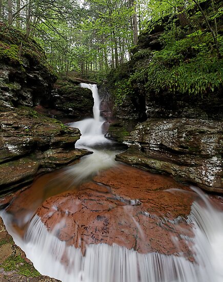 Adams Falls