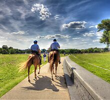 Po - Po Patrolling by Edvin Milkunic