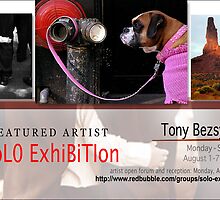 Tony Bezsylko by solo-exhibition