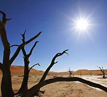 Deadvlei by Natalie Broome