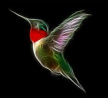Medicine Wheel Totem Animals by Liane Pinel- Hummingbird by Liane Pinel