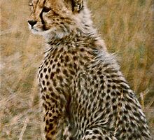 On the Brink of Extinction by Julie Marks