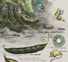 A Naturalist's Study of Magic Beans by Glendon Mellow