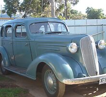 36 Chev...Its suicide baby! by Suzanne Newbury