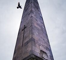 Overcast Cenotaph - Harrogate by Pseudotim