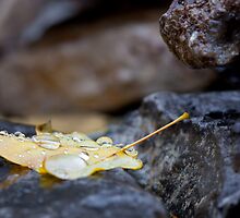 Weighed Down by John Hanam