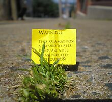 a warning for bees by Oil Water Artt