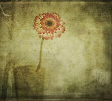 Gathering Gloom by Denise Abé