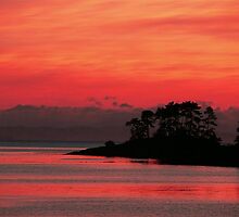 Simply Irresistible by Gail Bridger