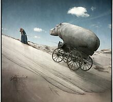 Possessions by KLIMAS