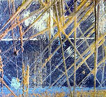 Wired by Kathie Nichols
