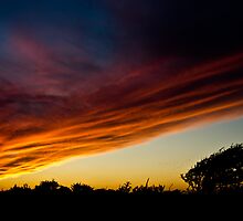 Heading south by Ulla Jensen