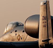 Sunset on the Ramp by gfydad