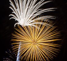 Brilliant, Dazzling Fireworks by Kenneth Keifer