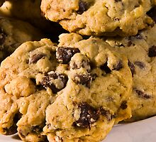 Chocolate Chip by Joy Rector