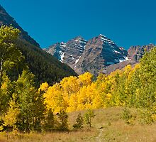 Meadow View of the Maroon Bells by Gregory J Summers