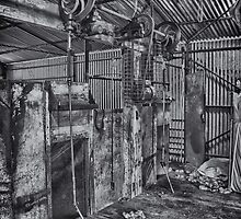 The Shed #3 by vilaro Images