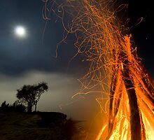 Dancing in the Moonlight by Michael Treloar