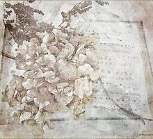 A Hymn for You by Johanna26