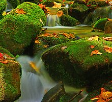 CASCADE 10 by Chuck Wickham