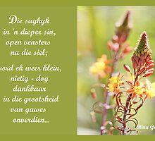 Dankbaar by Rina Greeff