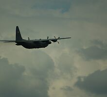 FLYING HIGH by stratus1