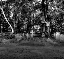 Cemetery by paradox0076