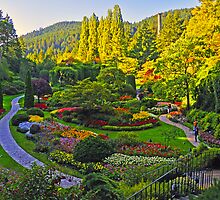 SUNKEN GARDEN by Raoul Madden
