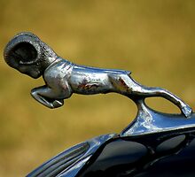 Automotive Bestiary ~ Part One by artisandelimage