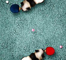 Animal Sports by Michael Murray
