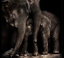family affair (Mali) by ArtX