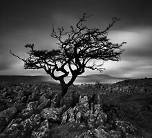 A Few Moments In Time by Brian Kerr