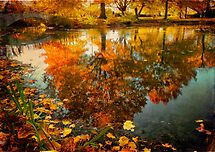 WON the '"Autumn Glory" new challenge for "The Best of anything & Everything"' challenge of group 'THE BEST OF ANYT…' WON the '"Autumn Glory" new challenge for "The Best of anything & Everything"' challenge of group 'THE BEST OF ANYT…'