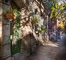 Bike - NY - Greenwich Village - The green district by Mike Savad